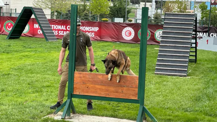 'narkotik köpekler şampiyonası'nda nobel, 1'inci oldu