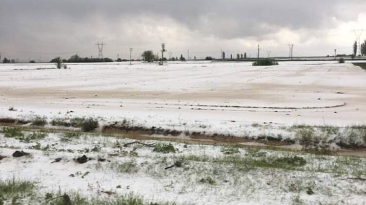 Niğde'de dolu, tarım arazilerine zarar verdi