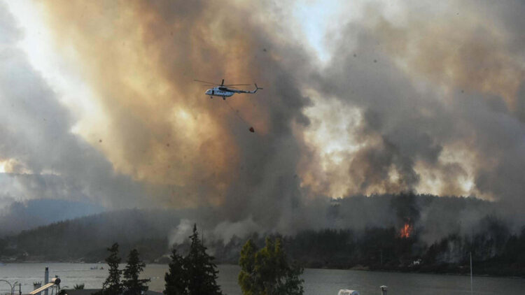Ormanı yakan şüpheliyi, telefon mesajı yakalattı