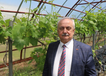 Prof. Dr. Demir uyardı; El Nino'ya dikkat