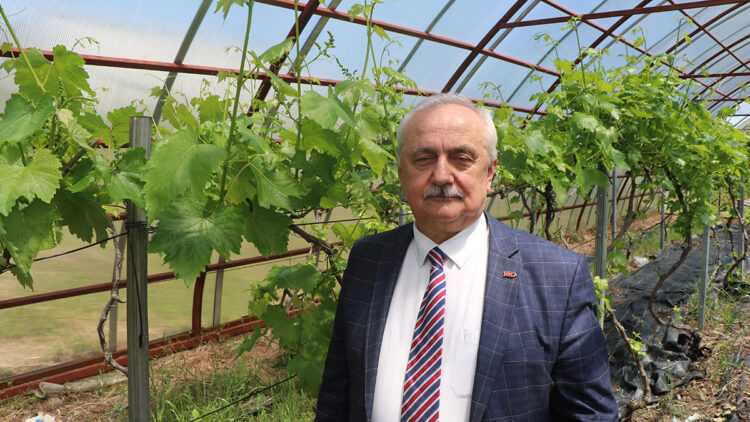 Prof. Dr. Demir uyardı; El Nino'ya dikkat