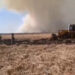 Rusya'da çalı yangını devam ediyor