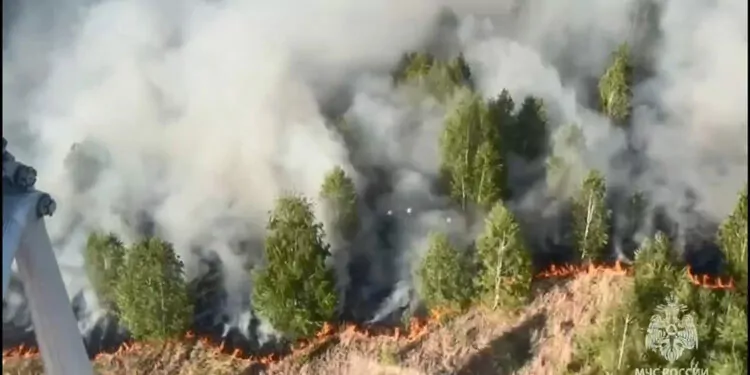 Rusya'da orman yangını