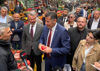 Sinan Oğan: Büyük üretim çiftlikleri kurma planımız var