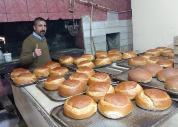 Tartıştığı kiracısını boğazından vurdu