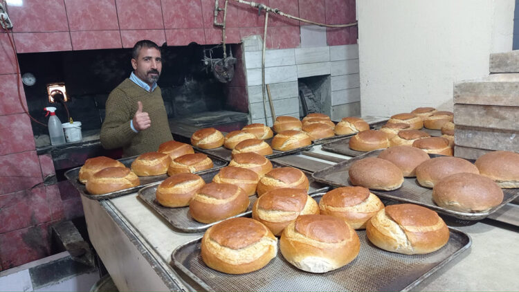 Tartıştığı kiracısını boğazından vurdu