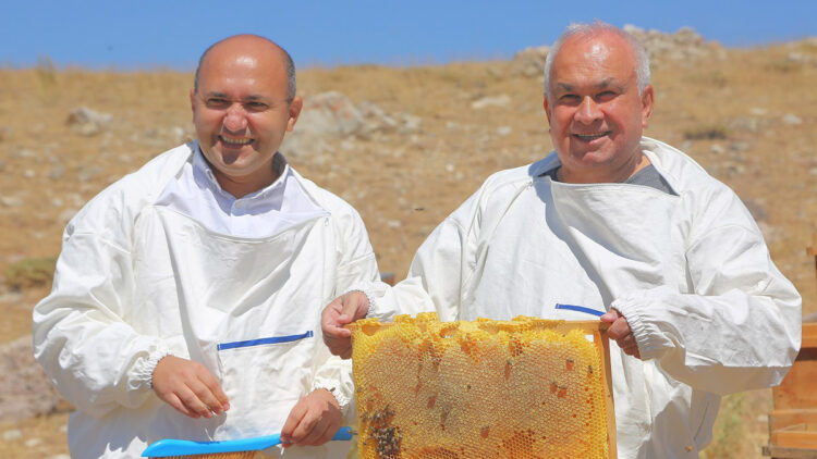 Toroslarda yetişen bal Katar yolcusu
