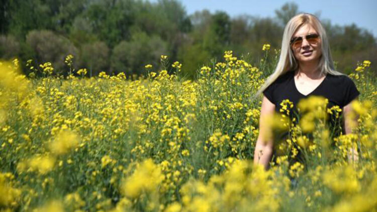 Trakya'da kanola ekimine iklim müsaade etmedi