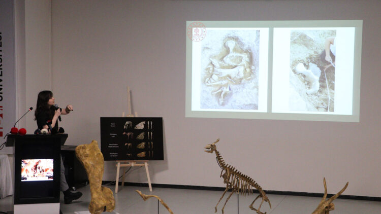 Türkiye'nin ilk paleontoloji müzesi yüzde 80 tamamlandı