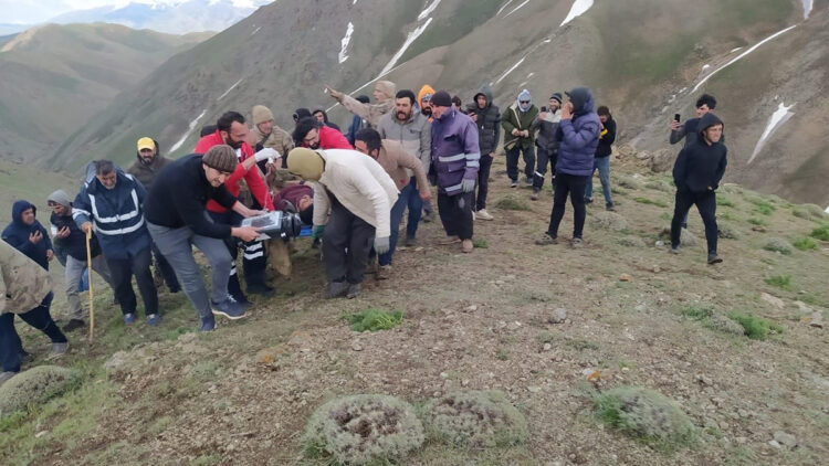 Van'da, üzerlerine yıldırım düşen 2 çoban yaralandı