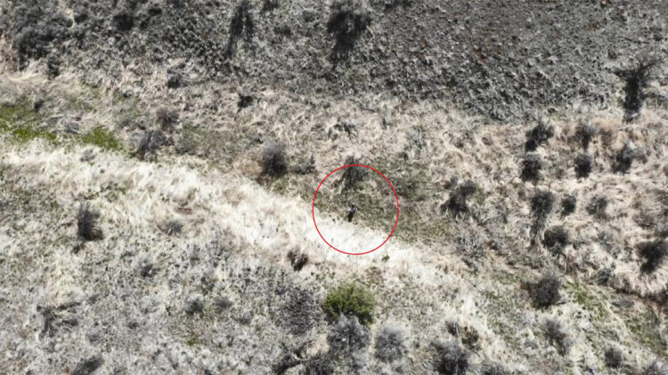 ABD'de kaybolan 3 yaşındaki kız çocuğu İHA ile bulundu