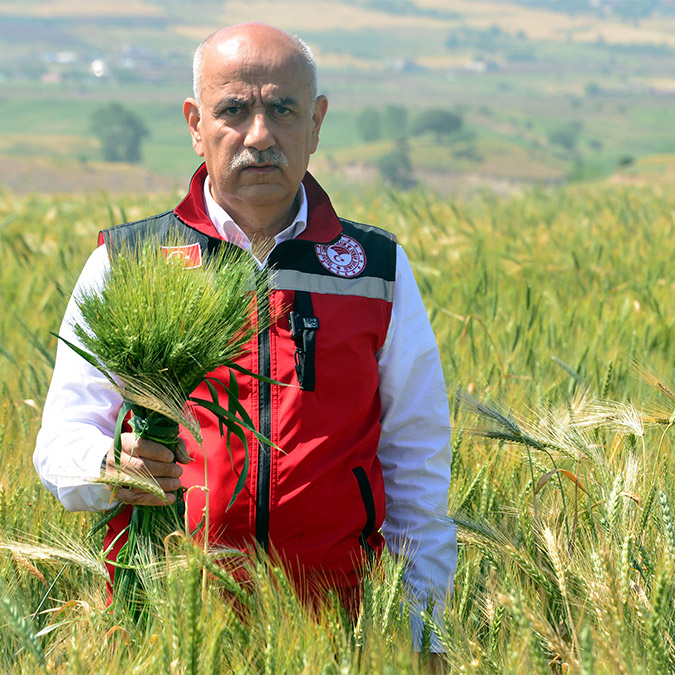 Bakan Kirişci'den buğday rekoltesi açıklaması