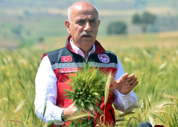 Bakan Kirişci'den buğday rekoltesi açıklaması
