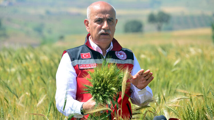 Bakan Kirişci'den buğday rekoltesi açıklaması