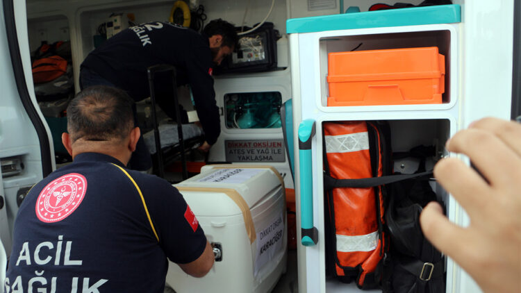 Beyin ölümü gerçekleşen hastanın organları 5 hastaya can oldu