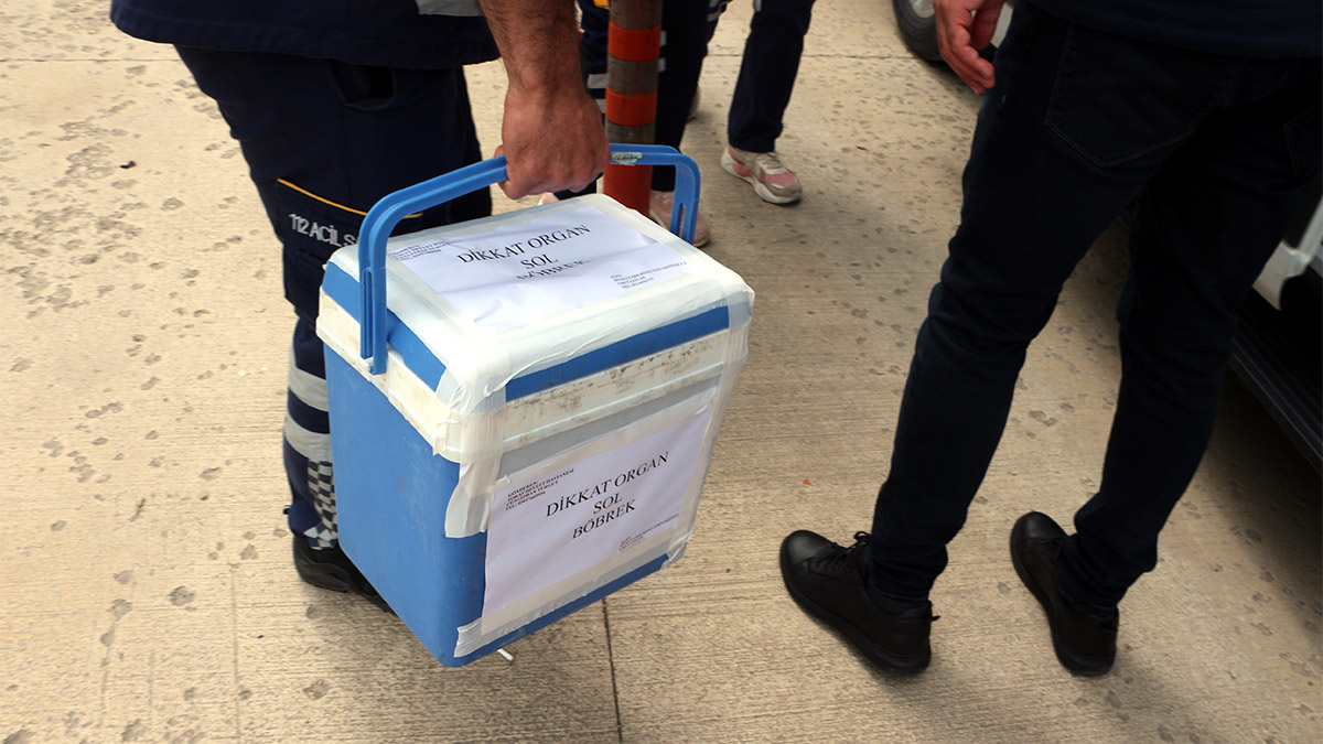 Beyin ölümü gerçekleşen hastanın organları 5 hastaya can oldu