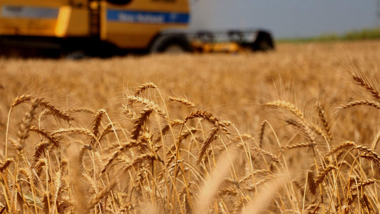 Biyoteknolojik gübre rekolteyi artıracak