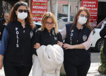Cumhurbaşkanına hakaretten gözaltına alındı