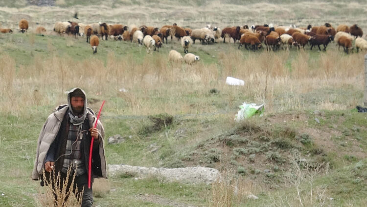 Canlı bomba ihbarı yapılan kişi çoban çıktı