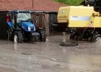 Çorum'da sağanak yağış tarım alanlarına zarar verdi