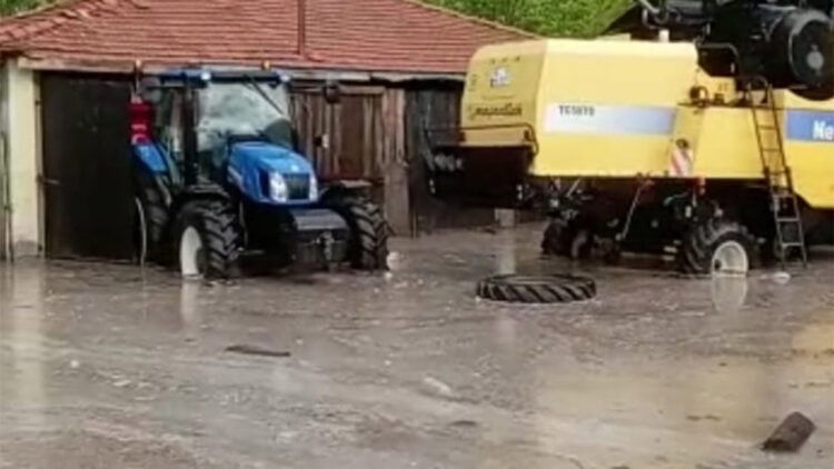Çorum'da sağanak yağış tarım alanlarına zarar verdi