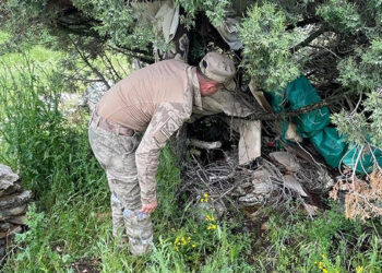 Ormanda kaybolan Ayşe teyzeyi jandarma arıyor