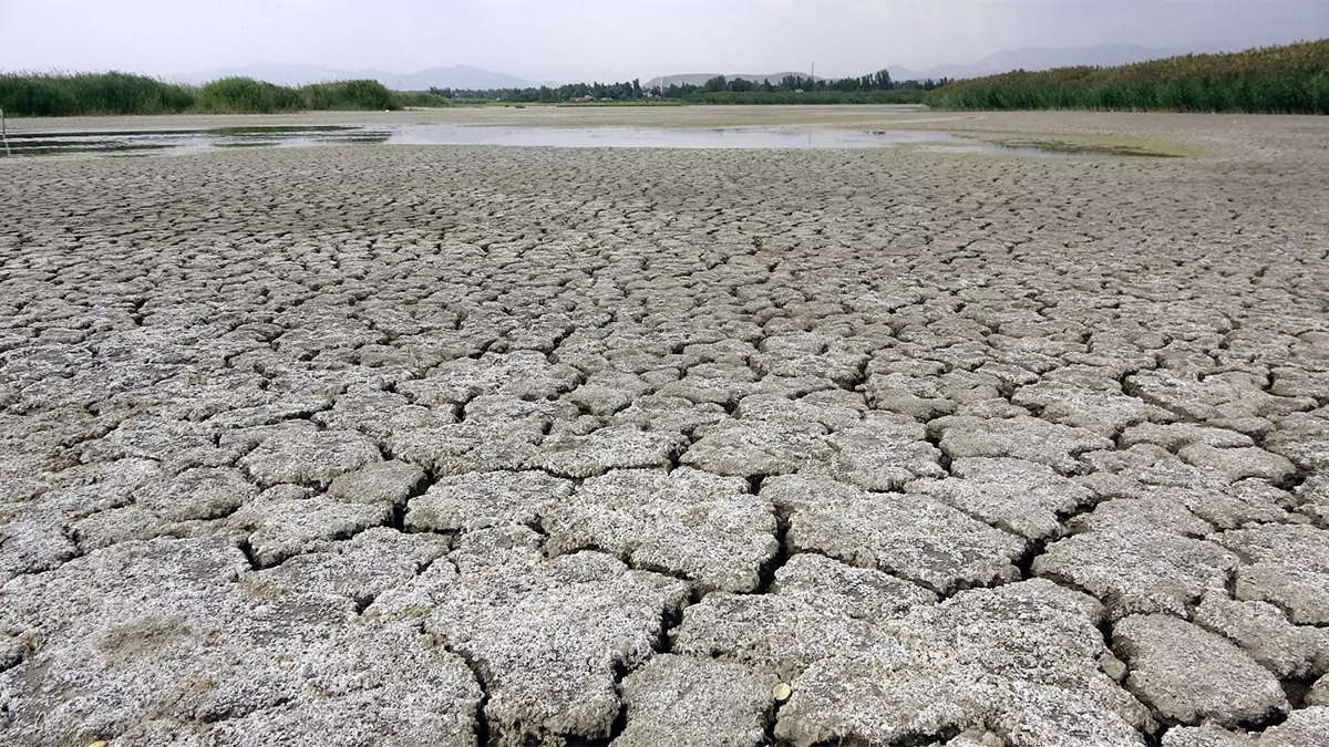 Dünya meteoroloji örgütü'nden yapılan açıklamaya göre, afetler nedeniyle 2 milyondan fazla kişi hayatını kaybetti ve 4. 3 trilyon abd doları tutarında ekonomik kayıp yaşandı.