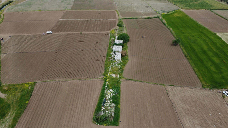 Roma Köprüsü domates tarlaları arasında kaldı