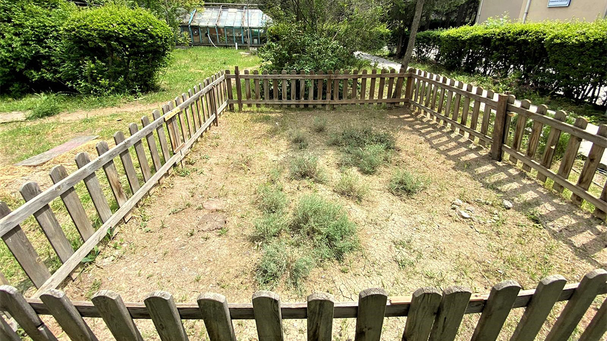 Endemik bitki türleri korumaya alındı