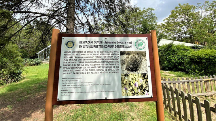 Endemik bitki türleri korumaya alındı