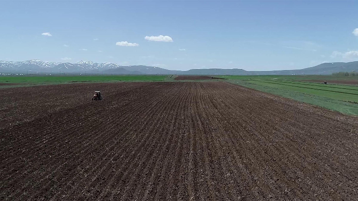 Erzurum'da bahar yağmurlarıyla çiftçinin yüzü güldü