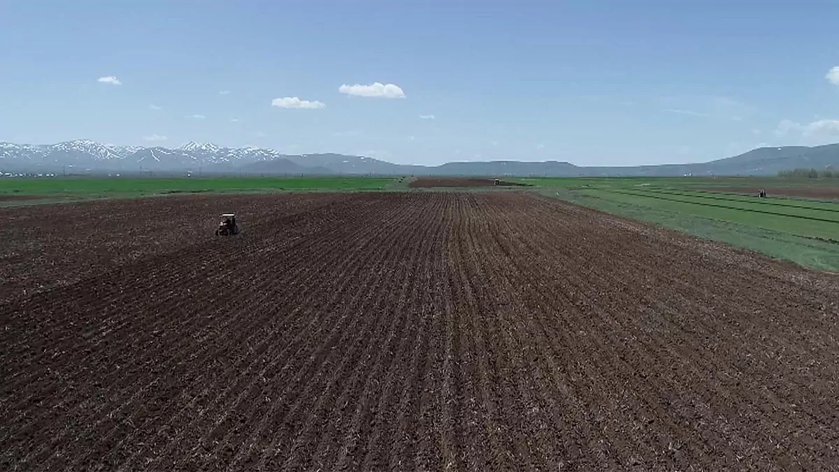 Erzurum'da bahar yağmurlarıyla çiftçinin yüzü güldü