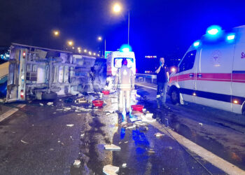 Balık yüklü kamyonet devrildi; 2 yaralı