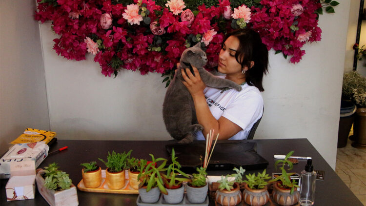 Adana'da çiçekçiye giren hırsız kedi çaldı