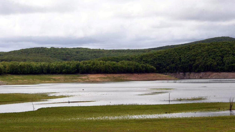 İstanbul'un suyunu karşılayan barajlarda su seviyesi arttı