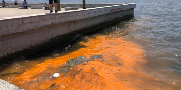 İzmir Körfezi'nde kırmızı-turuncu renk uyarısı