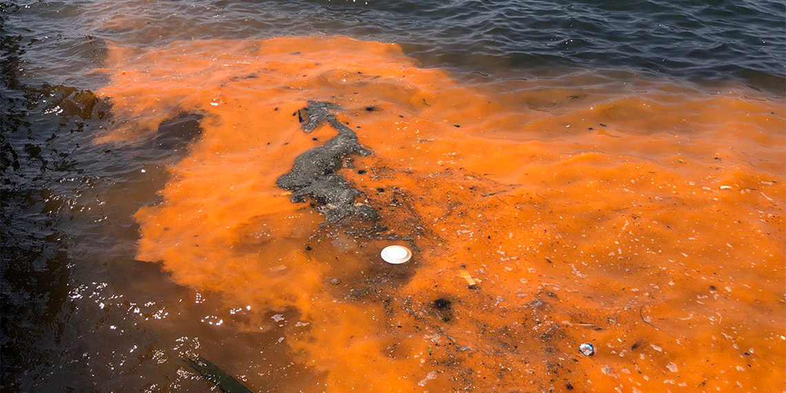 İzmir Körfezi'nde kırmızı-turuncu renk uyarısı