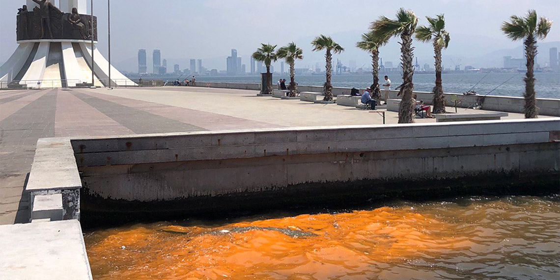 Türkiye Tabiatını Koruma Derneği (TTKD) Bilim Danışmanı Dr. Erol Kesici, İzmir Körfezi'nde kırmızı-turuncu renk değişiminin alglerden kaynaklandığını belirtti.