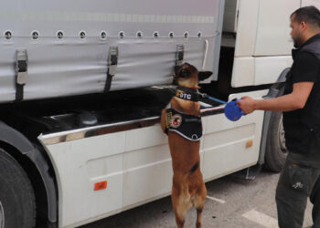 Kanas adlı köpekle uyuşturucu operasyonu