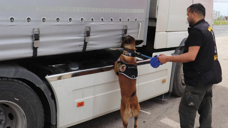 Kanas adlı köpekle uyuşturucu operasyonu