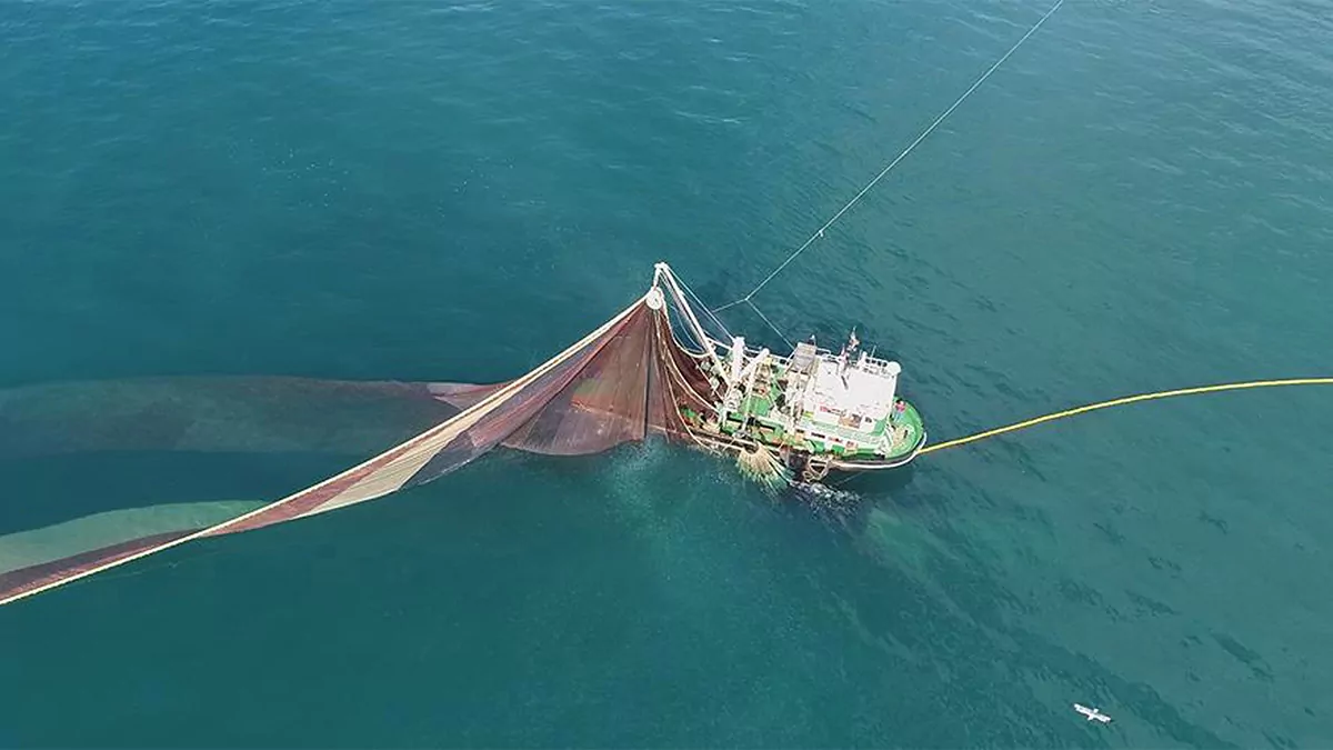 Karadeniz'in akıbeti meçhule doğru gidiyor