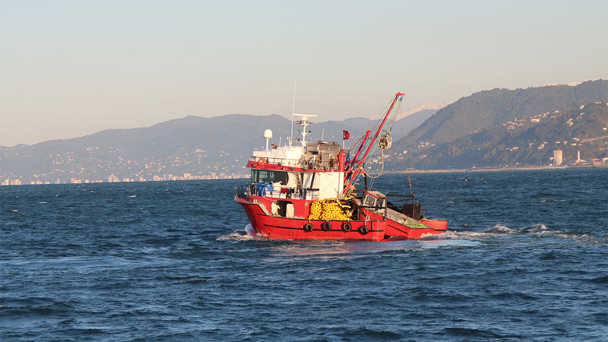 Jeoloji Mühendisi Prof. Dr. Osman Bektaş, "Karadeniz'in akıbeti meçhule doğru gidiyor. Karadeniz son 50 yılda sürekli olarak ısınmaya başlıyor. Çünkü alttaki soğuk katmanı artık görevini yapamıyor" dedi.