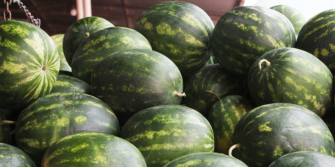 Karpuzun fiyatı, markette 15 tarlada 5 TL