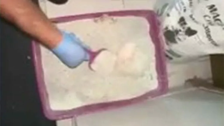 Kedi kumu ve tenekelere gizlenmiş uyuşturucu ele geçirildi