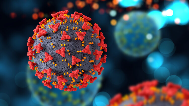 Pandemide kesilen para cezaları iade edilecek