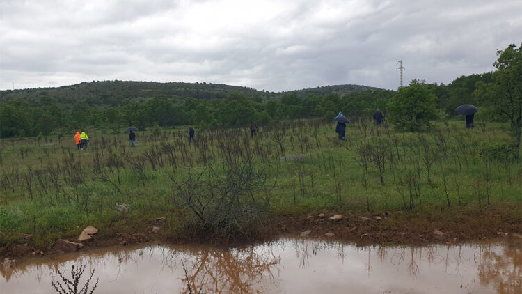 Mantar toplamak için gittiği ormanda kayboldu