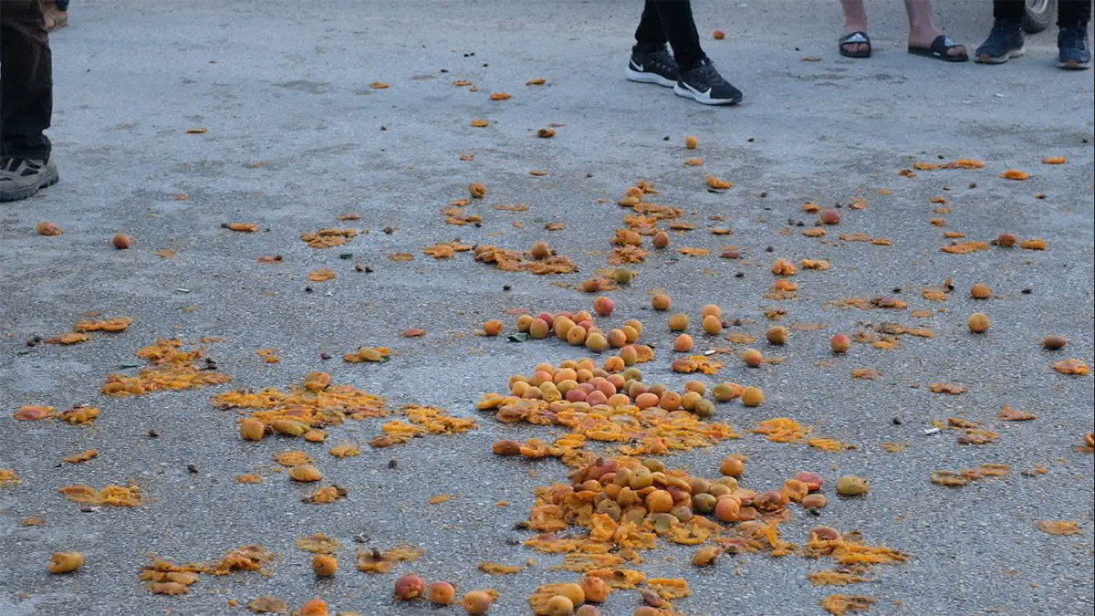 Kayısı üreticileri fiyatları düşük bularak eylem yaptı