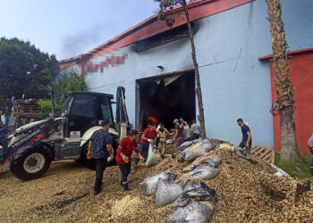 Mersin'de kuruyemiş fabrikasında yangın