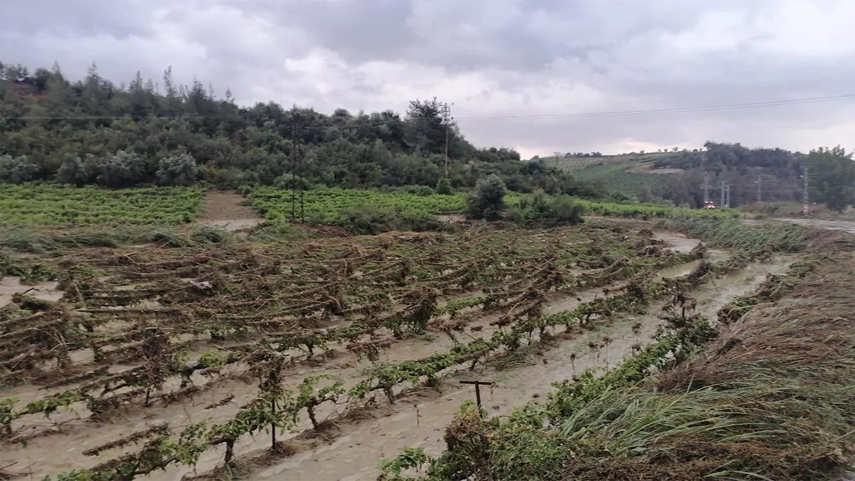 Mersin'de sağanak yağmur hayatı felç etti. Tarsus ilçesinde araçlar suya gömülürken tarım alanları zarar gördü.