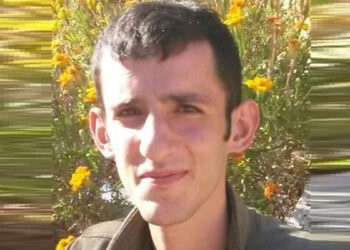 PKK/KCK'nın sözde iletişim sorumlusu etkisiz hale getirdi